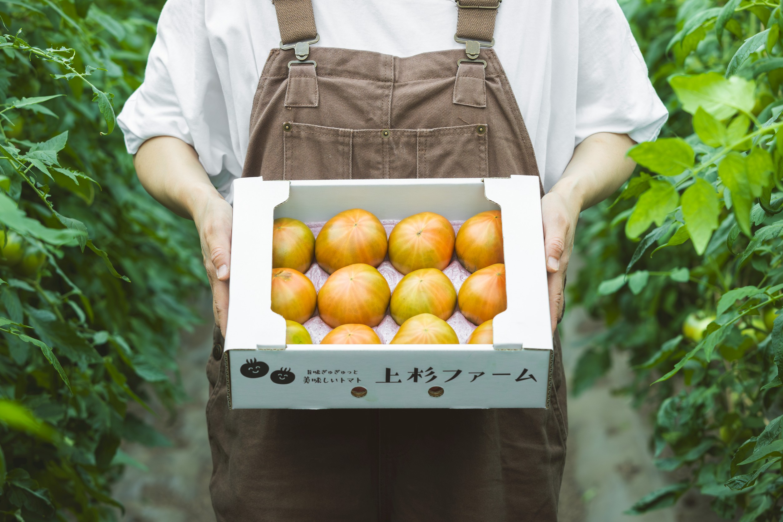 北海道奈井江町産　特選　トマト2kg