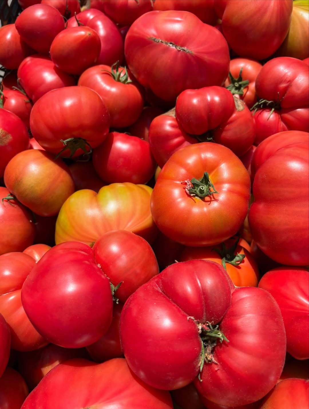 https://uesugi-farm.com