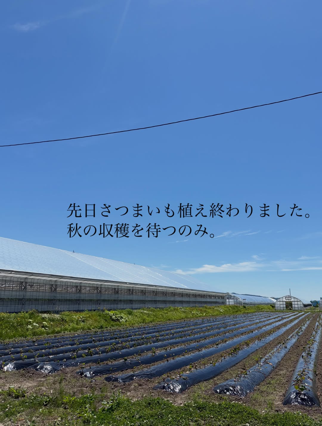 https://uesugi-farm.com